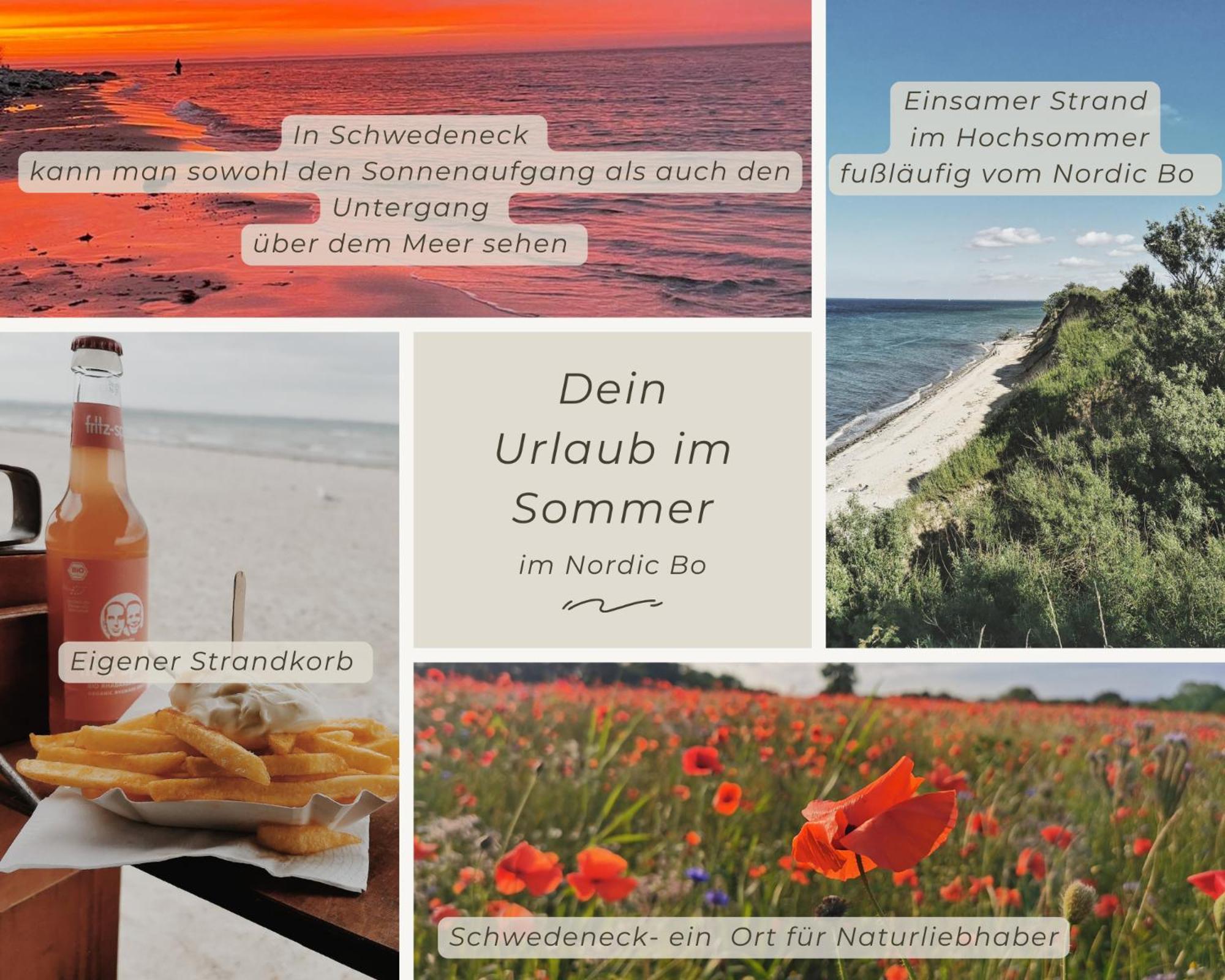 Nordic Bo -Wellen Wald Und Wilde Kueste- Strandnahe Doppelhaushaelfte Mit Waldterrasse Surendorf Esterno foto
